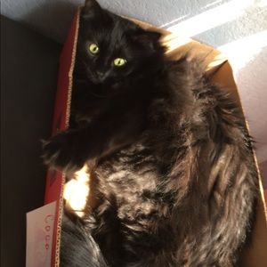 Meet your Posher, Amy